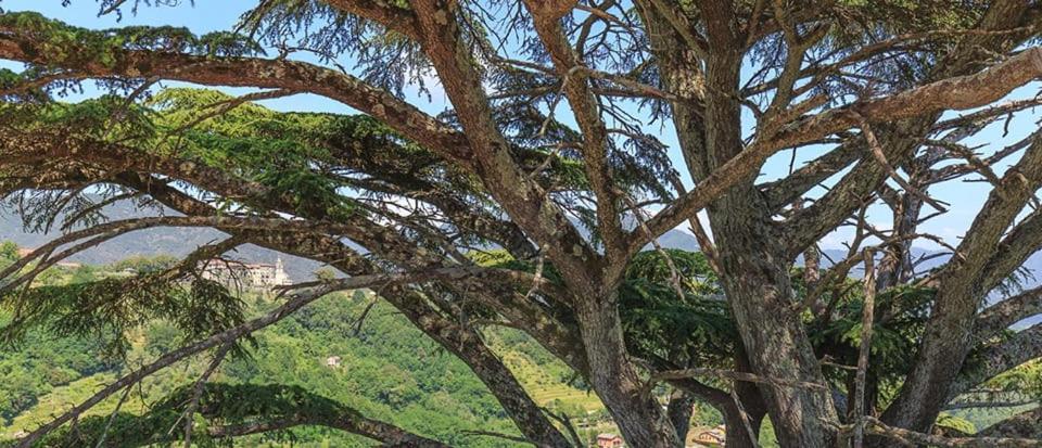 فندق Palazzo Costa بيفيرينو المظهر الخارجي الصورة